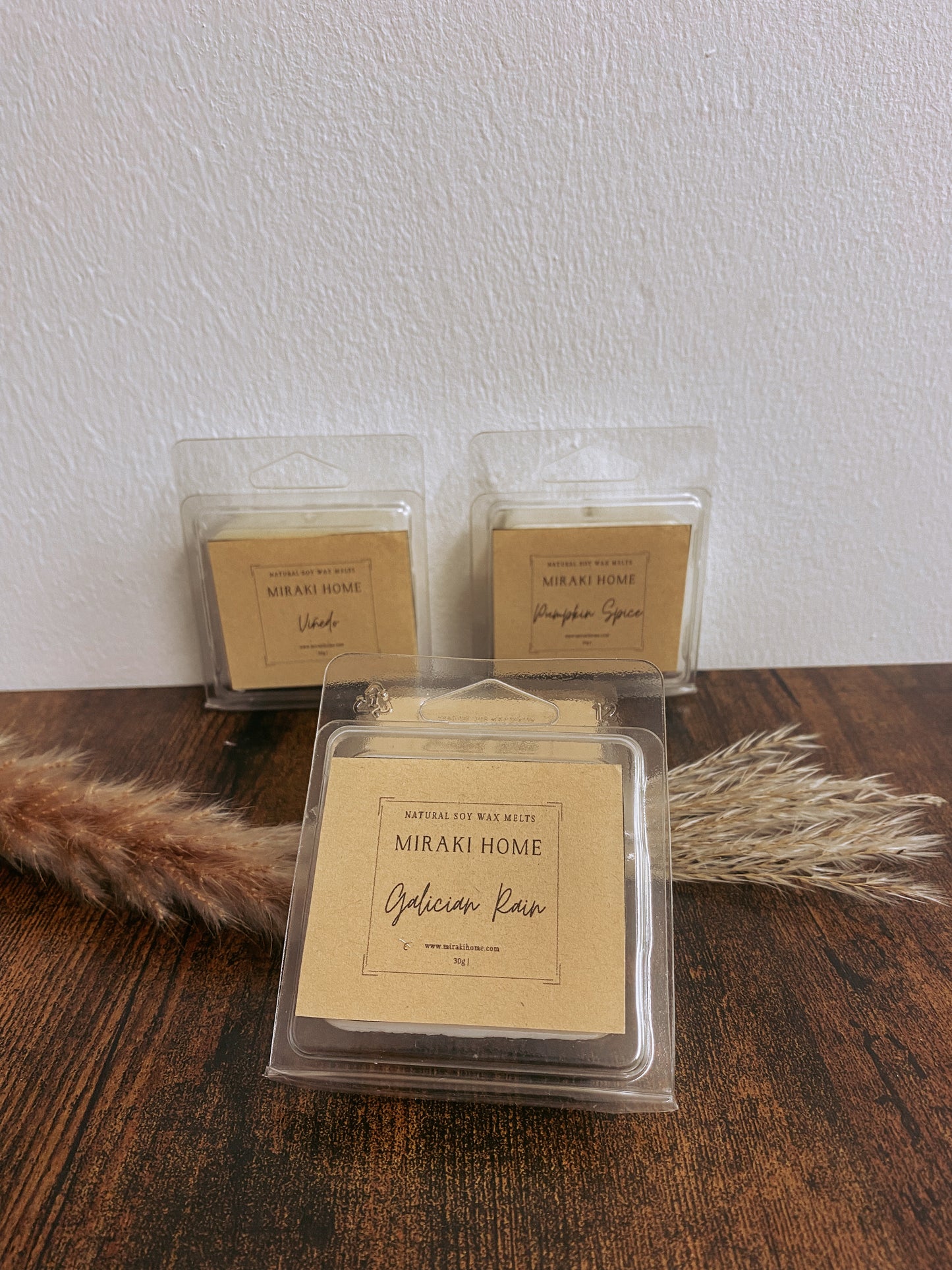 Pack Hornito y wax melts